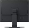 Eizo FlexScan S2133 black, 21.3"